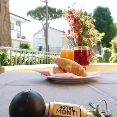 Hotel Monti *